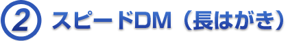 2. スピードDM（長はがき）