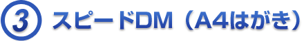3. スピードDM（A4はがき）